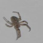 Hotel Mária Balatonmáriafürdő - Egyéb