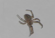 Hotel Mária Balatonmáriafürdő