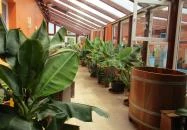 Bagolyvár Wellness Inárcs