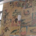 Cinema Sushi Bár Budapest - Belső