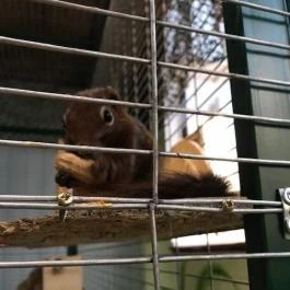 Feral Cafe, Budapest - Belső