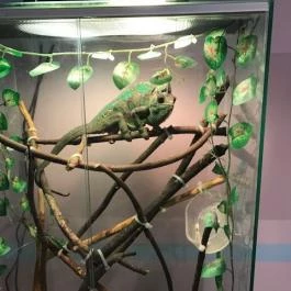 Feral Cafe, Budapest - Belső