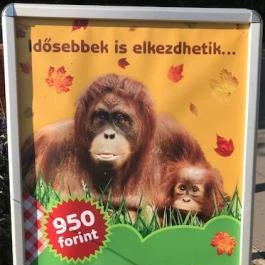 Fővárosi Állat- és Növénykert Étterme, Budapest - Egyéb