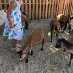 Holnemvolt Vár Budapest - 