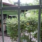 Vár Hotel Kastélyszálló Visegrád - Egyéb