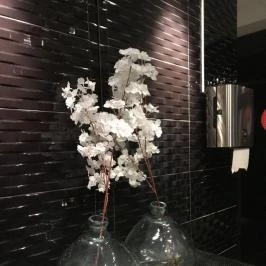 Japanika, Budapest - Mosdó