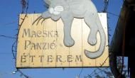 Macska Fogadó étterme Martonvásár - Étel/ital