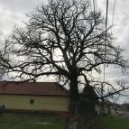 Mauks Ilona Emlékkiállítás Mohora - 