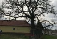 Mauks Ilona Emlékkiállítás Mohora