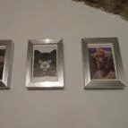 Mjam Szentendre - Egyéb