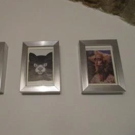 Mjam, Szentendre - Egyéb