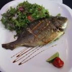 Nika Étterem Budapest - Étel/ital