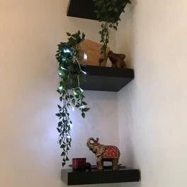 Nori Sushi Bar, Budapest - Belső