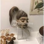 Semmelweis Orvostörténeti Múzeum, Könyvtár és Levéltár Budapest - 