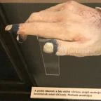 Semmelweis Orvostörténeti Múzeum, Könyvtár és Levéltár Budapest - 