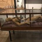 Semmelweis Orvostörténeti Múzeum, Könyvtár és Levéltár Budapest - 