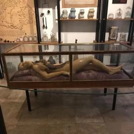 Semmelweis Orvostörténeti Múzeum, Könyvtár és Levéltár, Budapest - 