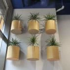 Sushiroll - Corvin Budapest - Belső