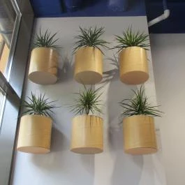 Sushiroll - Corvin, Budapest - Belső