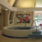 Ensana Thermal Hévíz Hévíz - Wellness