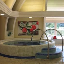 Ensana Thermal Hévíz, Hévíz - Wellness