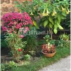 Tragor Ignác Múzeum Vác - 