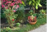 Tragor Ignác Múzeum Vác