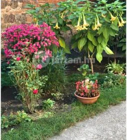 Tragor Ignác Múzeum