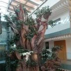 Pangea Hotel Nyíregyháza - Sóstó - Belső