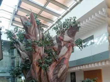 Pangea Hotel Nyíregyháza - Sóstó