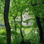 Soproni Botanikus Kert Sopron - Egyéb