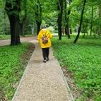 Soproni Botanikus Kert Sopron - Egyéb