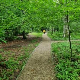 Soproni Botanikus Kert , Sopron - Egyéb