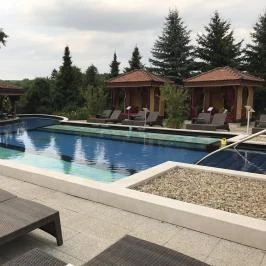 Mesés Shiraz Hotel Egerszalók - Medence/kert