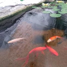 Janus Boutique Hotel & Spa, Siófok - Egyéb