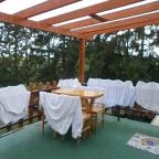 Darázshegyi Panzió Mátraszentimre - Medence/kert