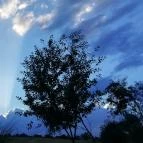 Erzsébet Vendégház és Apartman Mecseknádasd - Környék