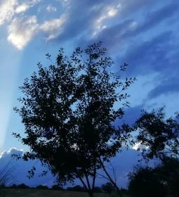 Erzsébet Vendégház és Apartman