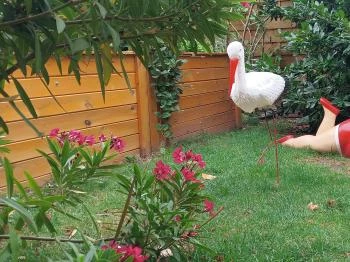 Giorgi Pizzéria Balatonfüred