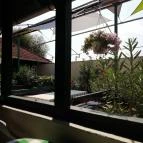 Hokuli Vendéglő Balatonakali - Egyéb