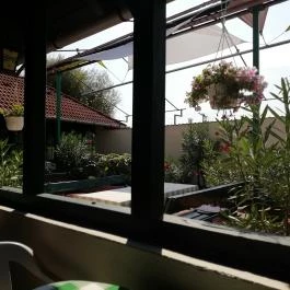 Hokuli Vendéglő, Balatonakali - Egyéb