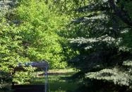 Lilaakác Vendégház Cák