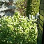 Lilaakác Vendégház Cák - Egyéb