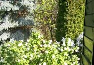 Lilaakác Vendégház Cák