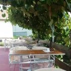 Napraforgó Vendéglő Cserszegtomaj - Egyéb