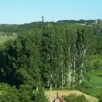 Reblaus Grill és Borozó Hévíz - Külső kép