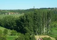 Reblaus Grill és Borozó Hévíz Reblaus Grill és Borozó Hévíz