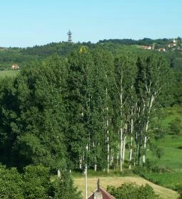 Reblaus Grill és Borozó