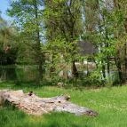 Tatai Fényes tanösvény Tata - Külső kép