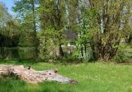 Tatai Fényes tanösvény Tata